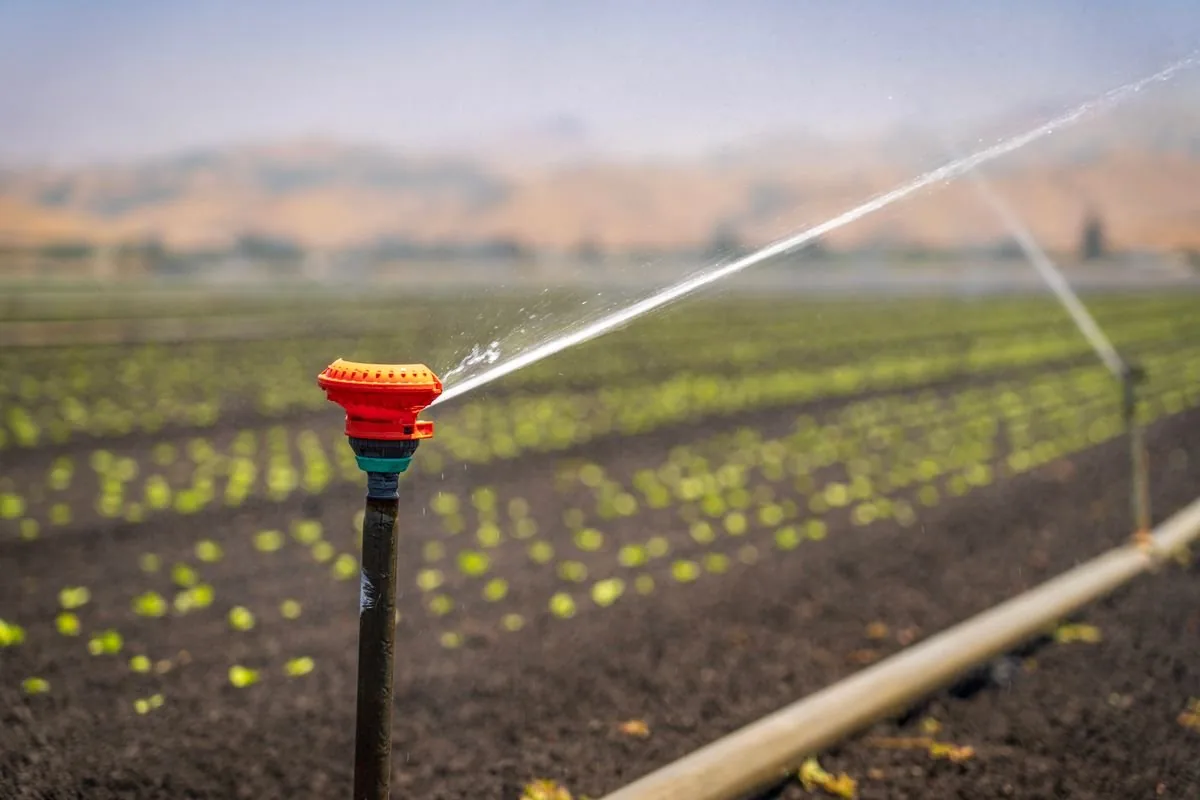 Automated garden and commercial landscape irrigation system